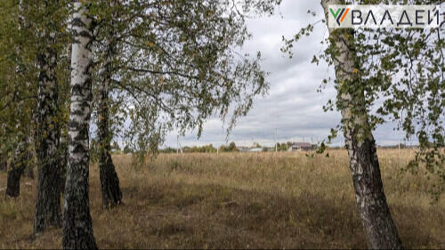 Посёлок Высокое Снегино